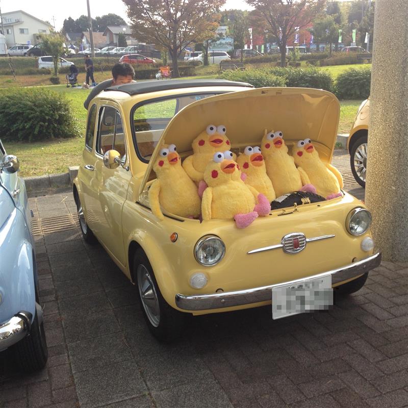 .こむさんのその他