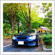 ENRICH CTI チークライン
