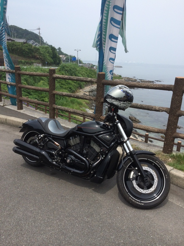 雷さんのブイロッド