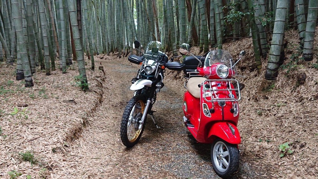 茶話さんのLX125 3V