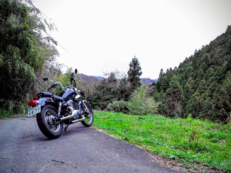 べじょりーたさんのビラーゴ250