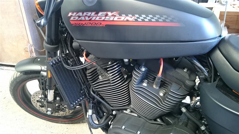HONDA-HDさんのスポーツスターXR1200