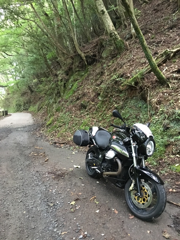 グウたんさんの1200_Sport_4v