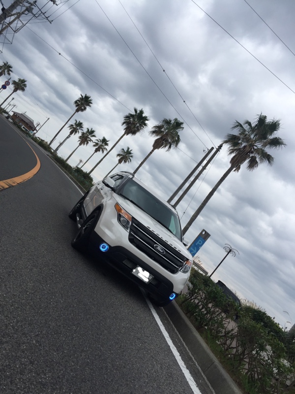 がくさんさんのエクスプローラー