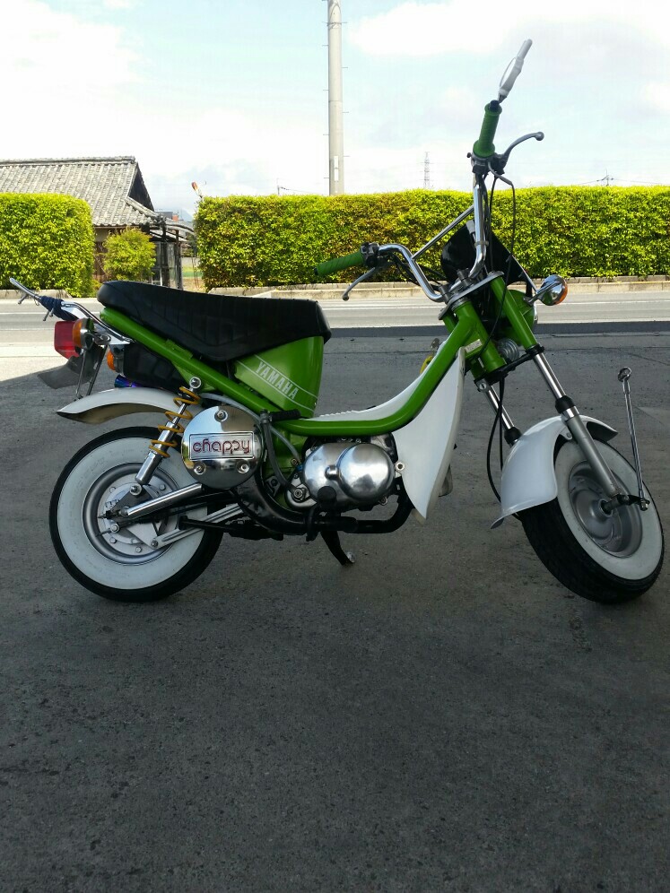 讃岐軽足さんのチャッピィ50