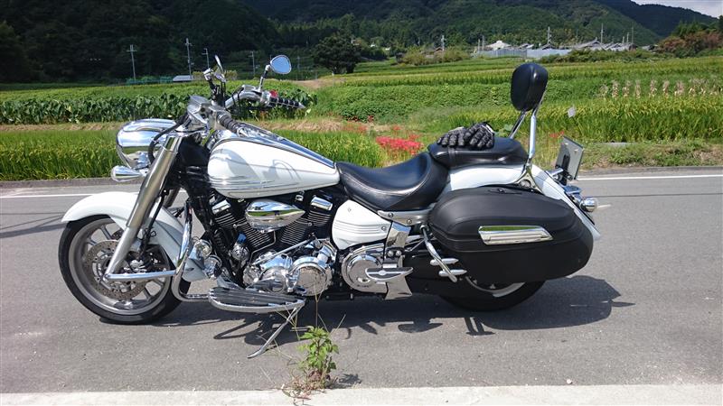 かづかづさんのXV1900A Midnight Star (ミッドナイトスター)