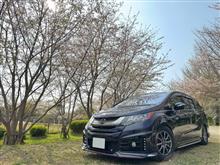 ELYZESTさんのODYSSEY_HYBRID