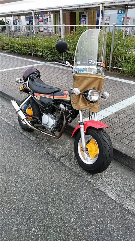トルクステアさんのノーティダックス