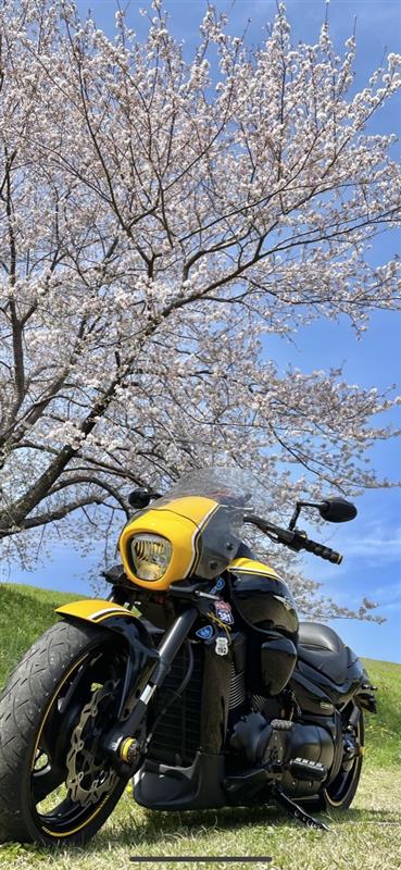 ドズザクさんのBOULEVARD M109R