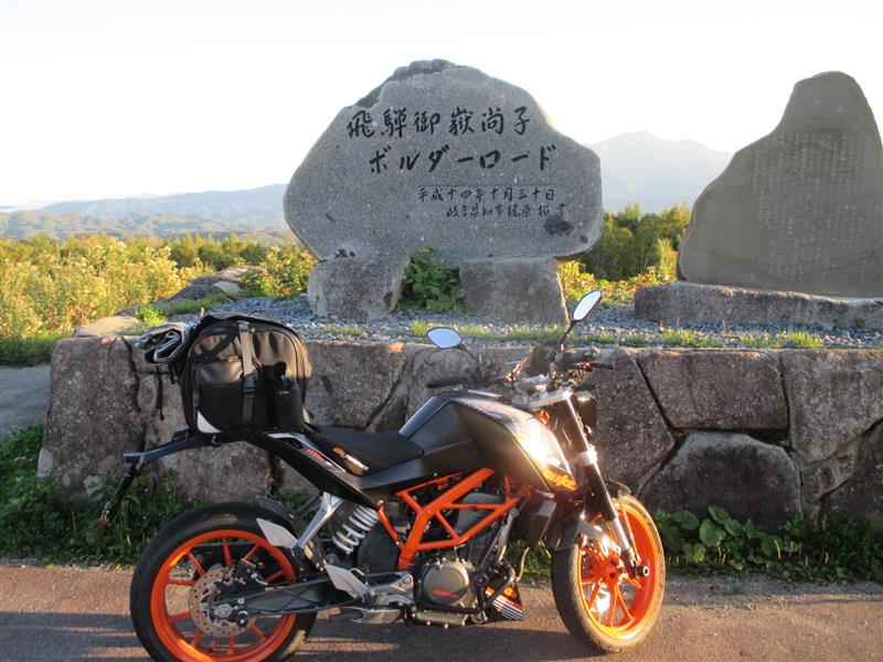 H390さんの390DUKE