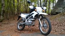 tenserenaさんのKLX125