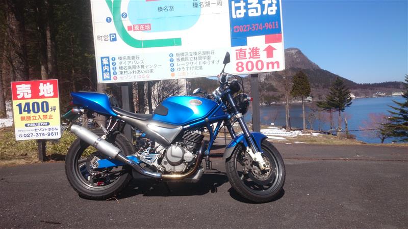 たいにーMさんのグース350