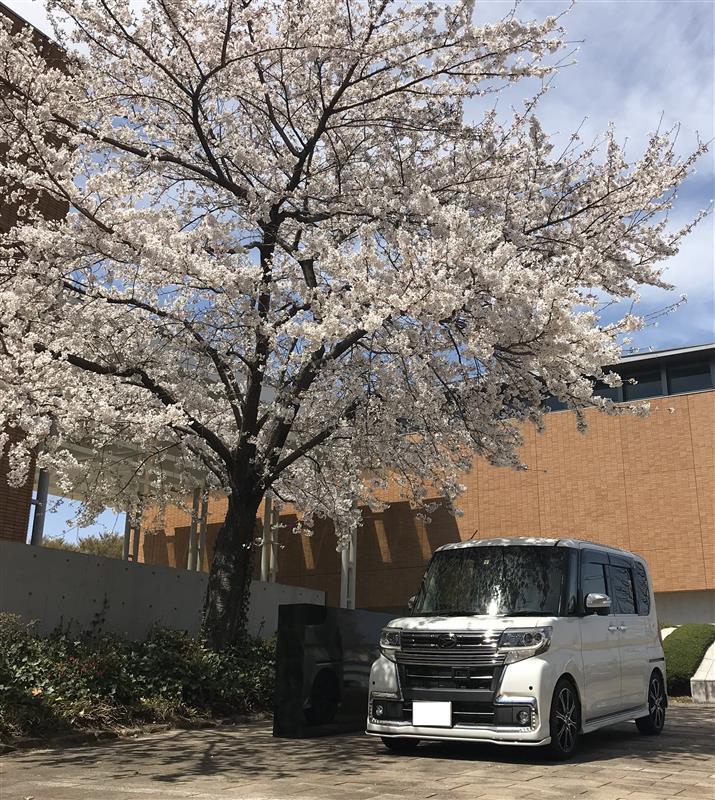 WhiteLionさんのタントカスタム