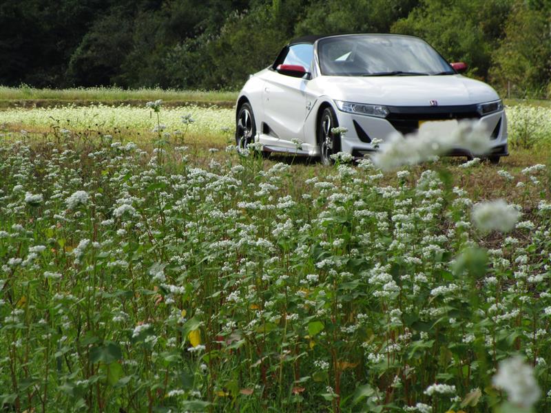 ホンダ S660 オーナーページ みんカラ 車 自動車sns ブログ パーツ 燃費 整備
