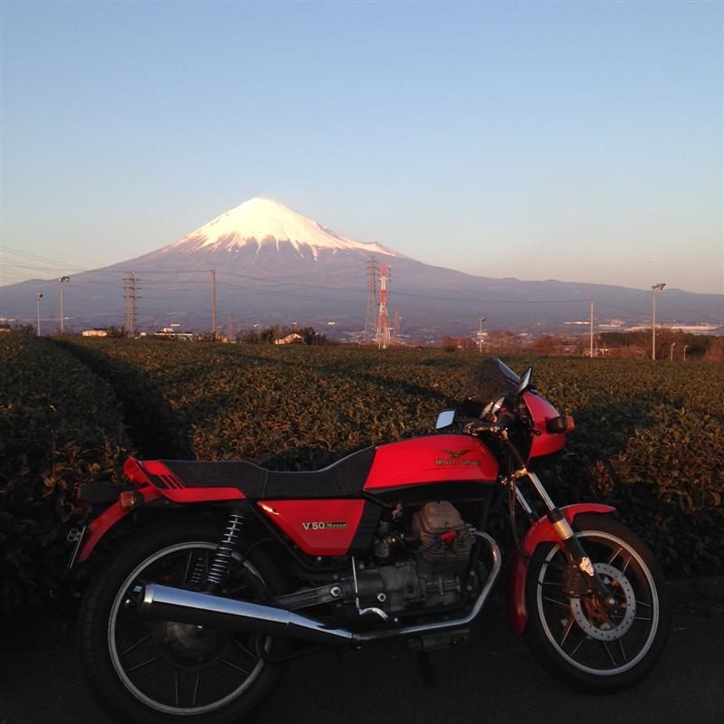 TR65さんのV50モンツァ