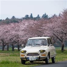 ととちさんのAMI