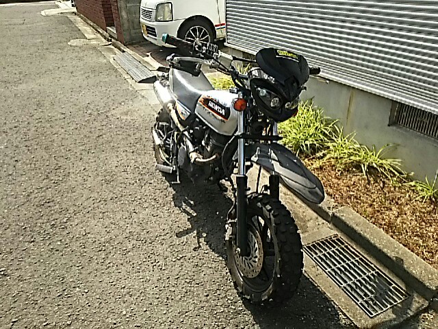 ペッカーエイジさんのエイプ50 タイプD