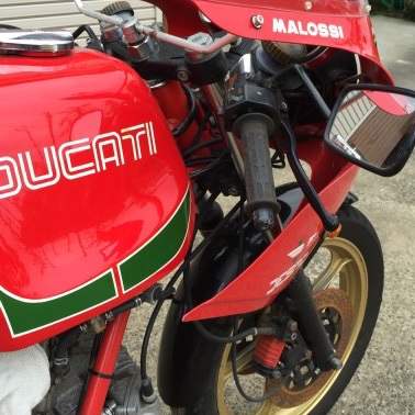 ロータスの羊さんの900MHR