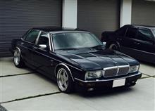 AN500EさんのDAIMLER