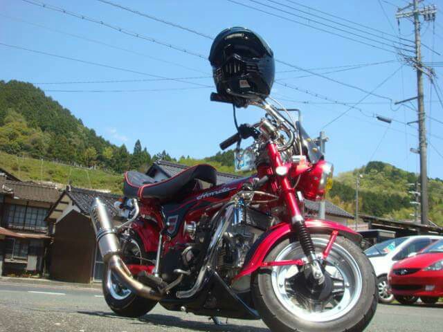 輝き八分さんのノティーダックス