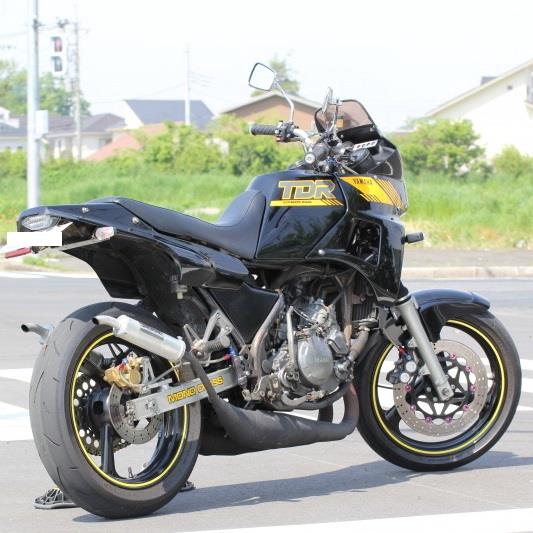 hataさんのTDR250