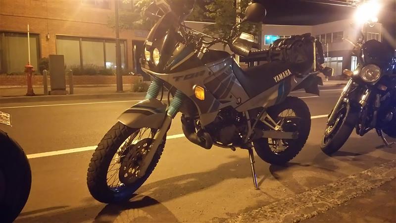 ステュクスさんのTDR125