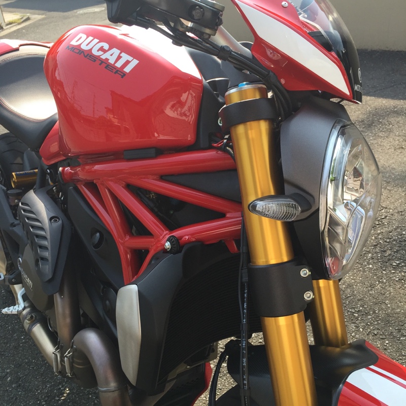 丘26さんのモンスター1200S
