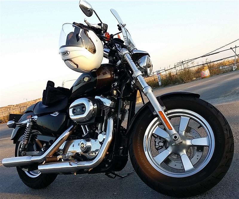 YukataKasahoさんのXL1200ca