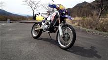 くまねさんのMD24
