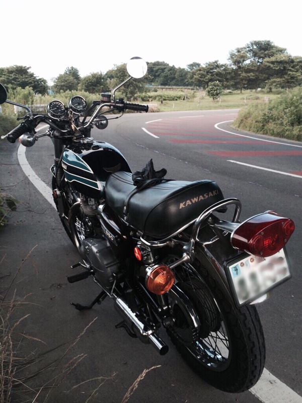 xLIP CREAMxさんのW3RS650