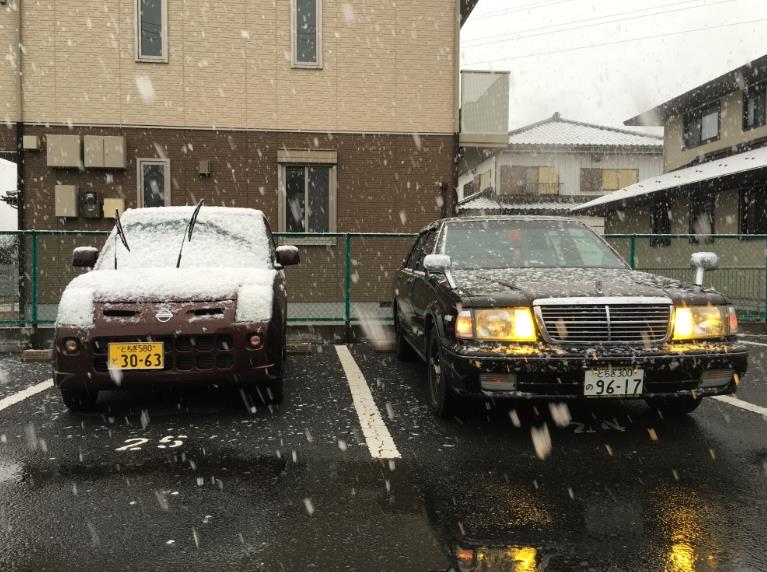 たくしぃぃぃさんのピノ