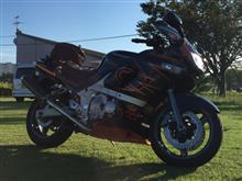 lovinson1643さんのZZR400 左サイド画像
