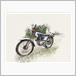 ホンダ TL125 イーハトーブ