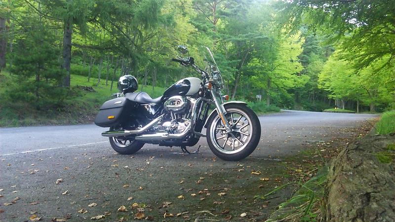 jnr-ef71さんのXL1200T