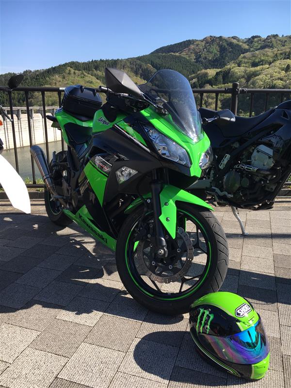 Ninja250(カワサキ) | せれちるの愛車 | みんカラ