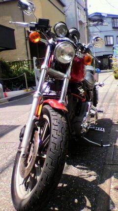 やす黒NさんのFXR