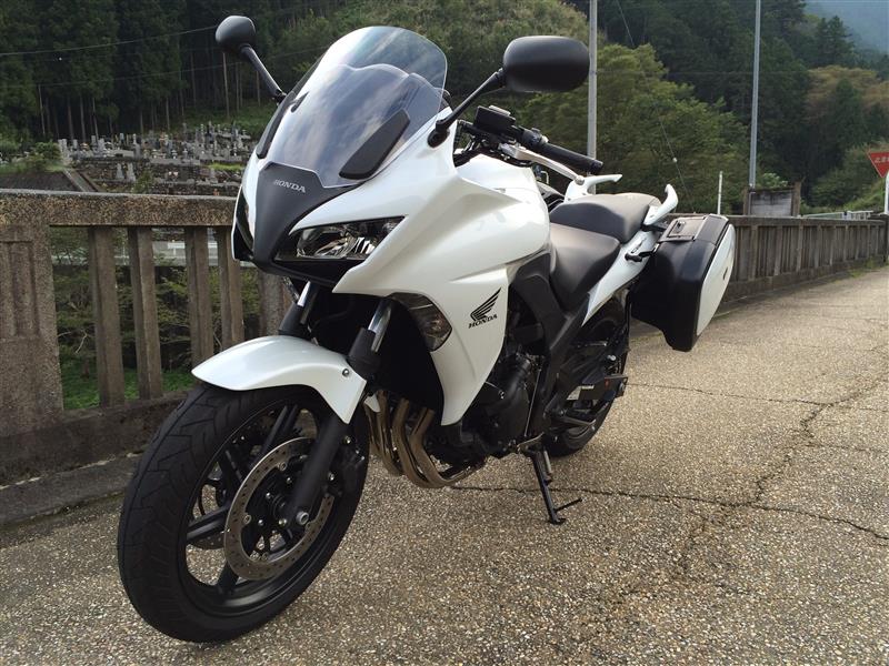 もり_あお_がえるさんのCBF1000