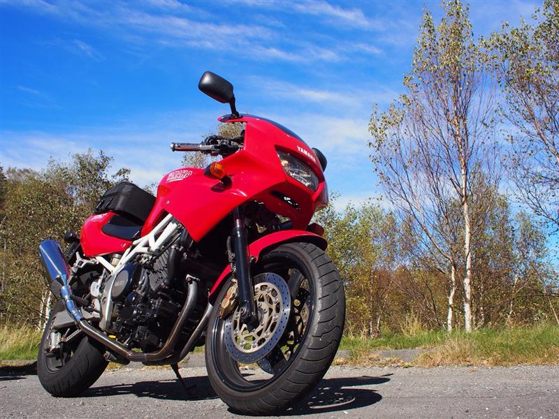 間伐材さんのTRX850