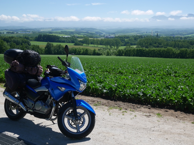 ウマゴン777さんのGSR250S