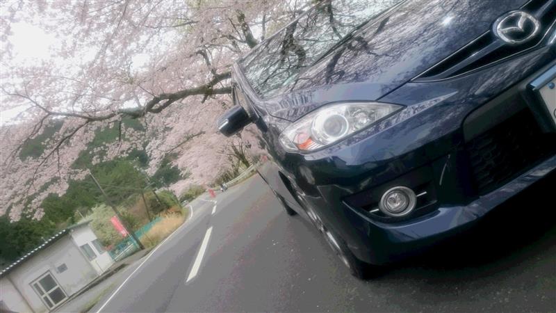 shootingstar☆彡さんのプレマシー