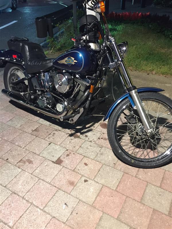 tomo666さんのFXSTC