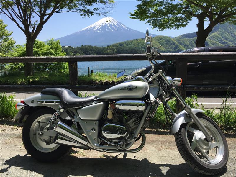 えびてぐらさんのマグナ