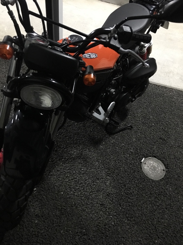 雄taさんのストリートマジックII50