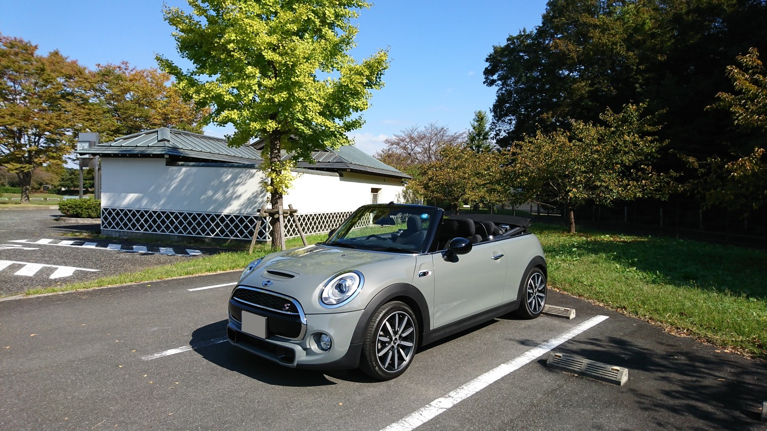 Dawn RedwoodさんのMINI Convertible