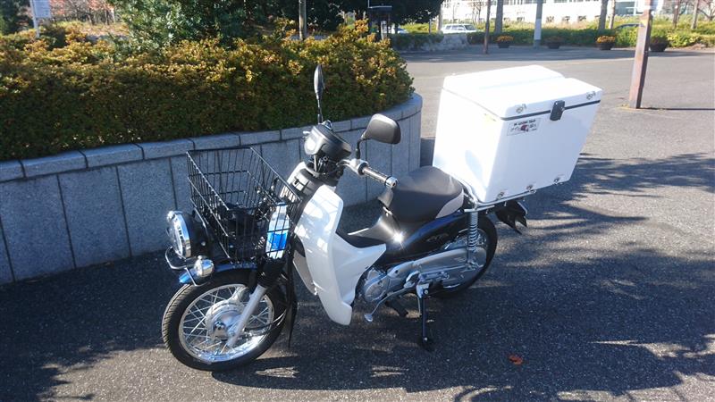 ハシモト模型さんのスーパーカブ50 プロ