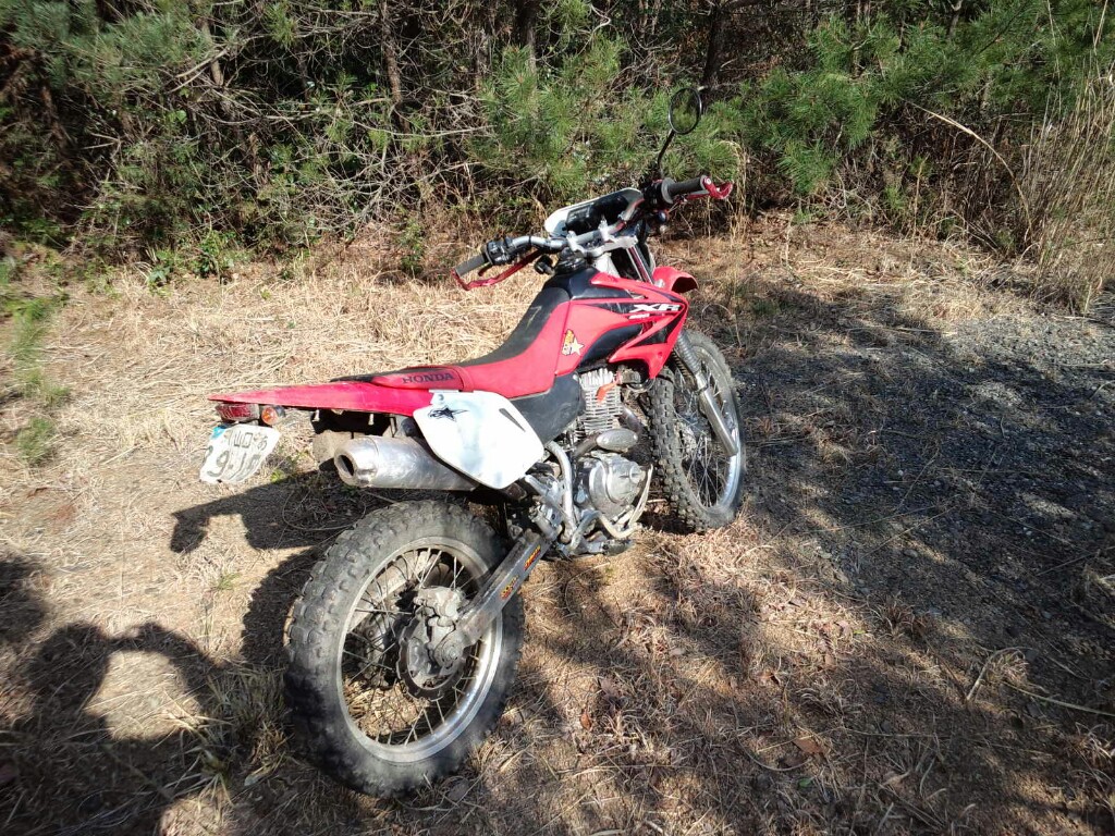 XR兄さんさんのXR230