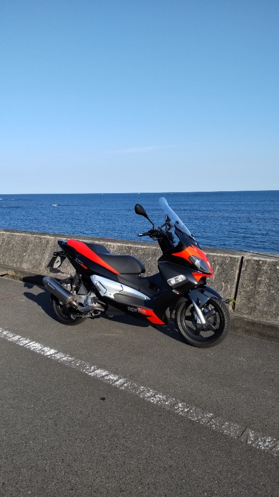 WarabikkoさんのSRMAX300