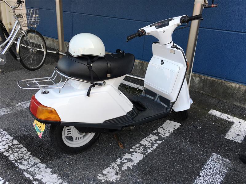 talokkeさんのベルーガ80D