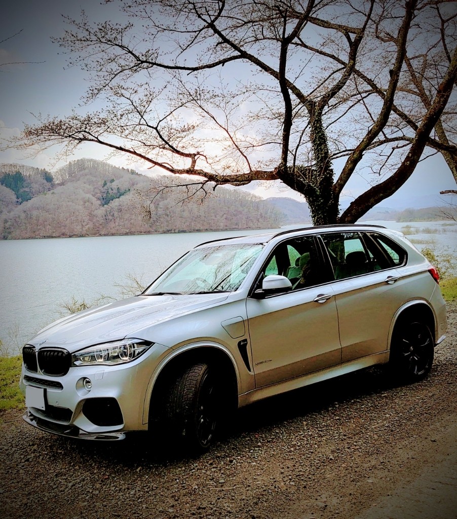 daiasaさんのX5プラグインハイブリッド