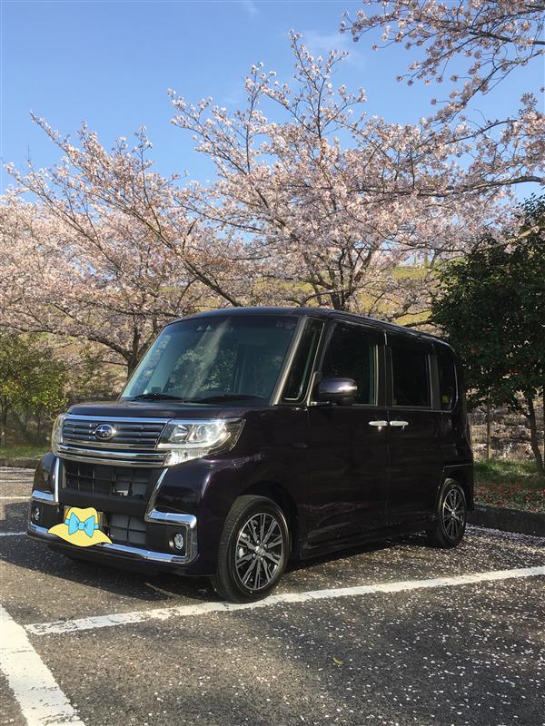 さくら( ´ ▽ ` )さんのシフォンカスタム